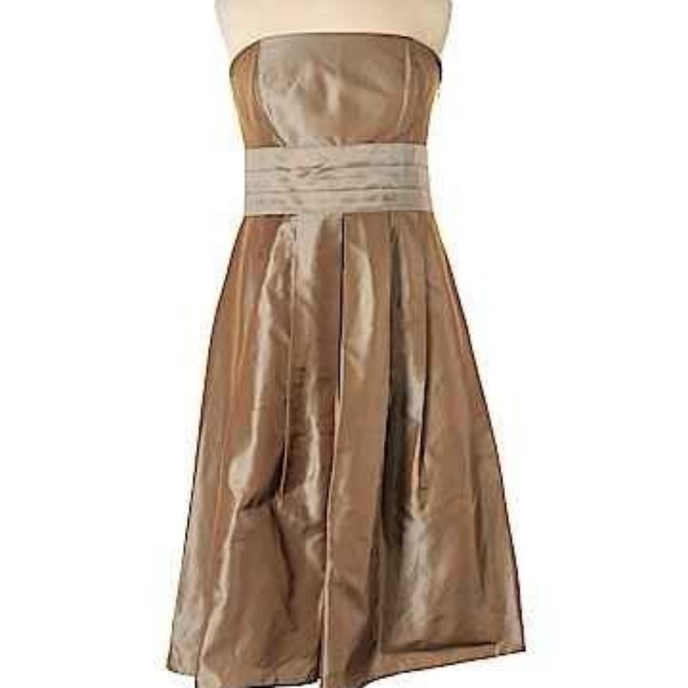 SILK Strapless Cocktail Dress